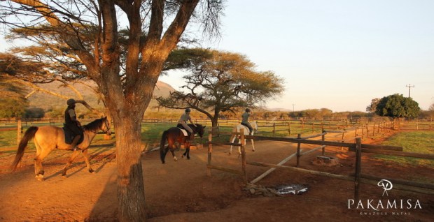 20130727 - CS1_9968 - E