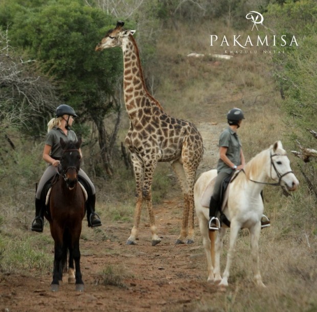 20130727 - CS3_0049 - E