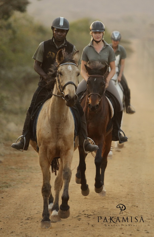 20130727 - CS3_9979 - E