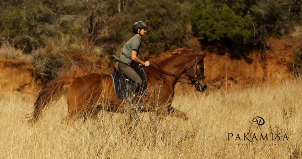 20130728 - CS3_0365 - E - SIG