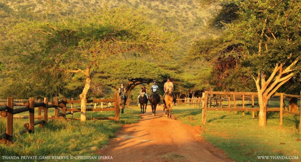 20140323 - CS1_0208 - E