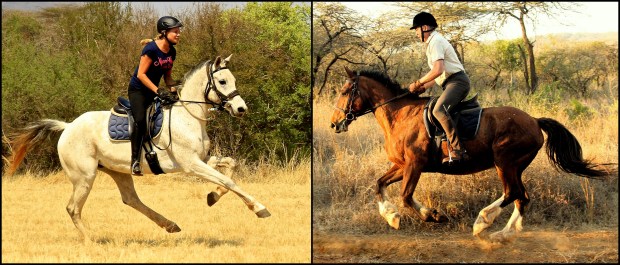 Collage III (Klaus & Annika)