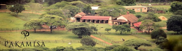 Pakamisa Stables