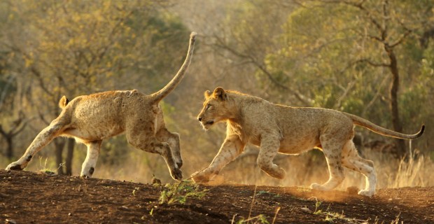 20130830 - CS3_6406 - E1