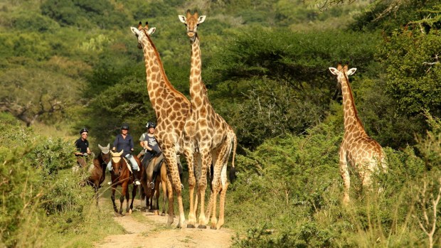 20140324 - CS1_0391 - E1