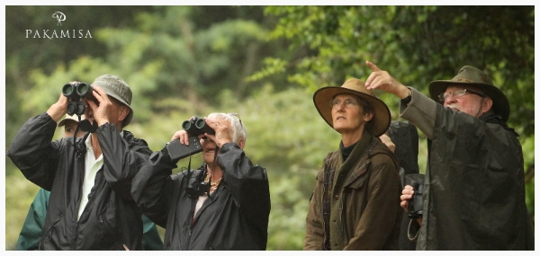 9828232c-e32d-43b5-a431-7d46c5d3e612