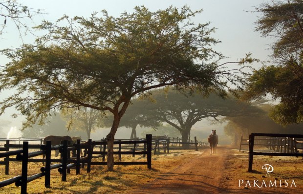 20150703 - CS2_5238 - P