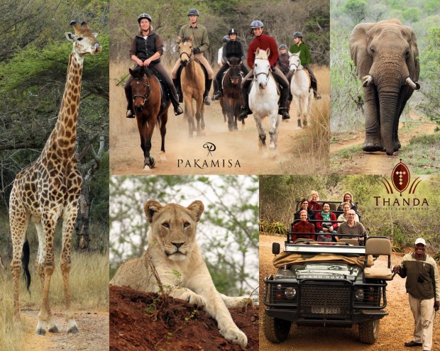 _Collage - Thanda Pakamisa II