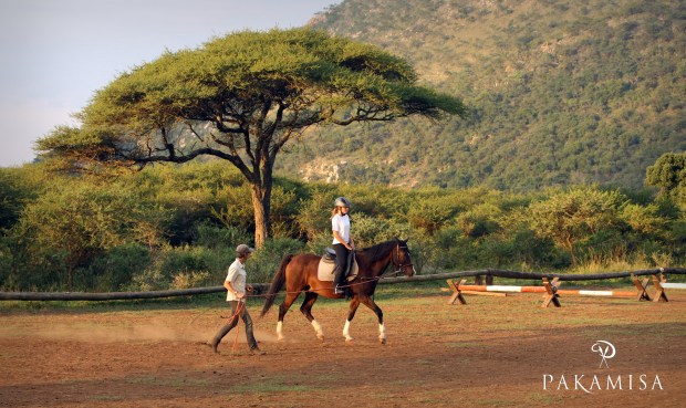 20150405 - CS3_4782 - E - CSP.jpg