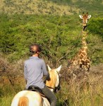 Horseback Safari 8 - Photo by Christian Sperka Photography