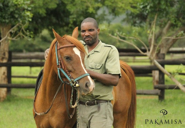 20141206 - CS3_4614 - P - CSP